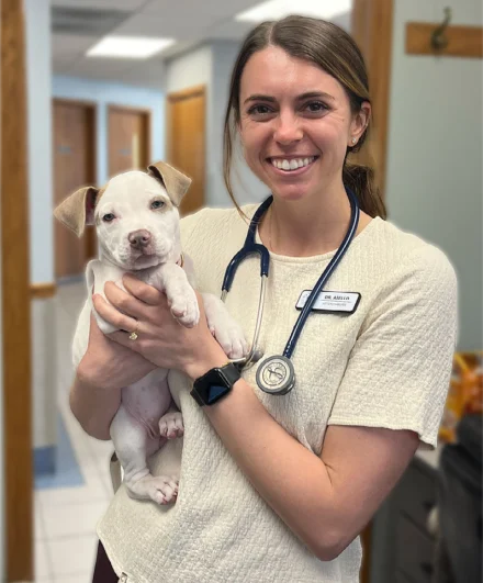 My Project 1 at Madison Veterinary Hospital