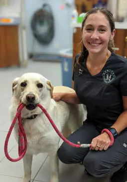 a person holding a leash of a dog