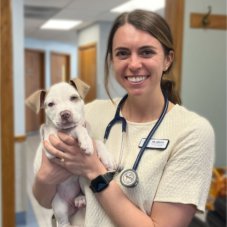 About Madison Veterinary Hospital