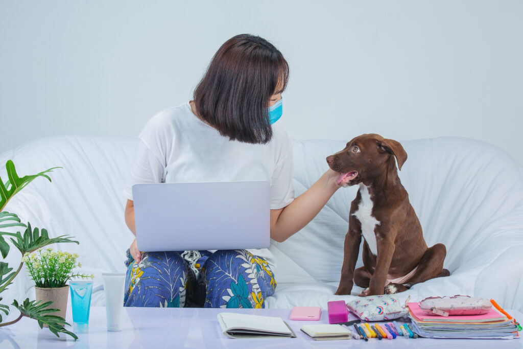 Puppy Vaccination Schedule for Royal Oak Pet Owners
