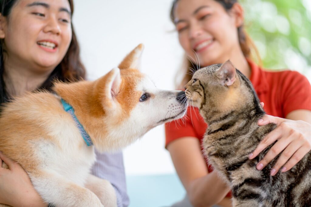 Compassionate Pet Care