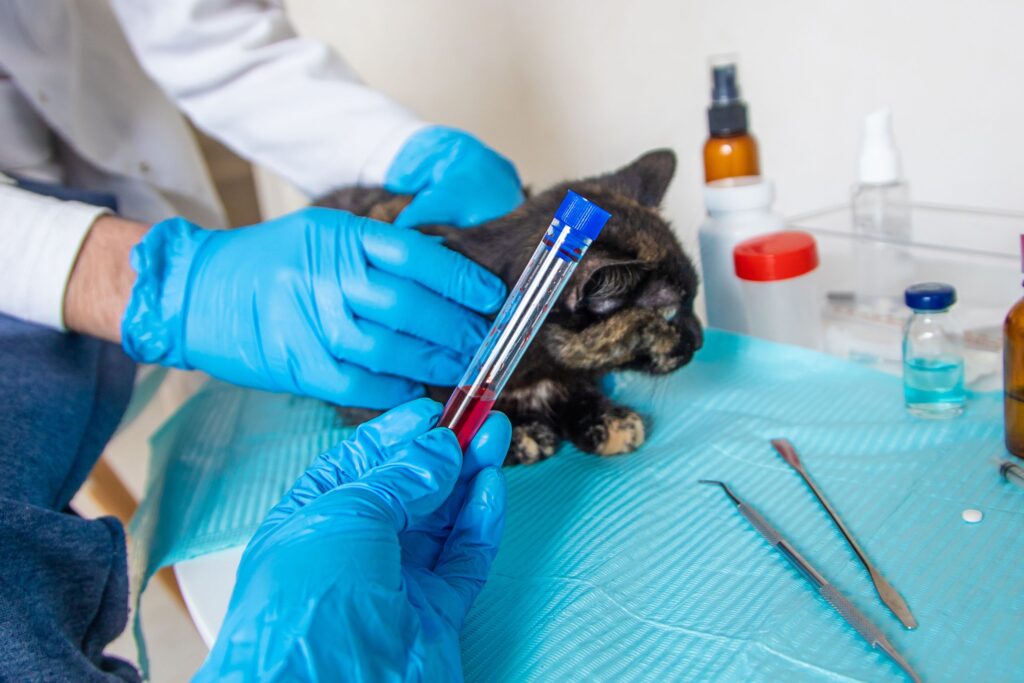 Lab Testing & Diagnostics for Pets