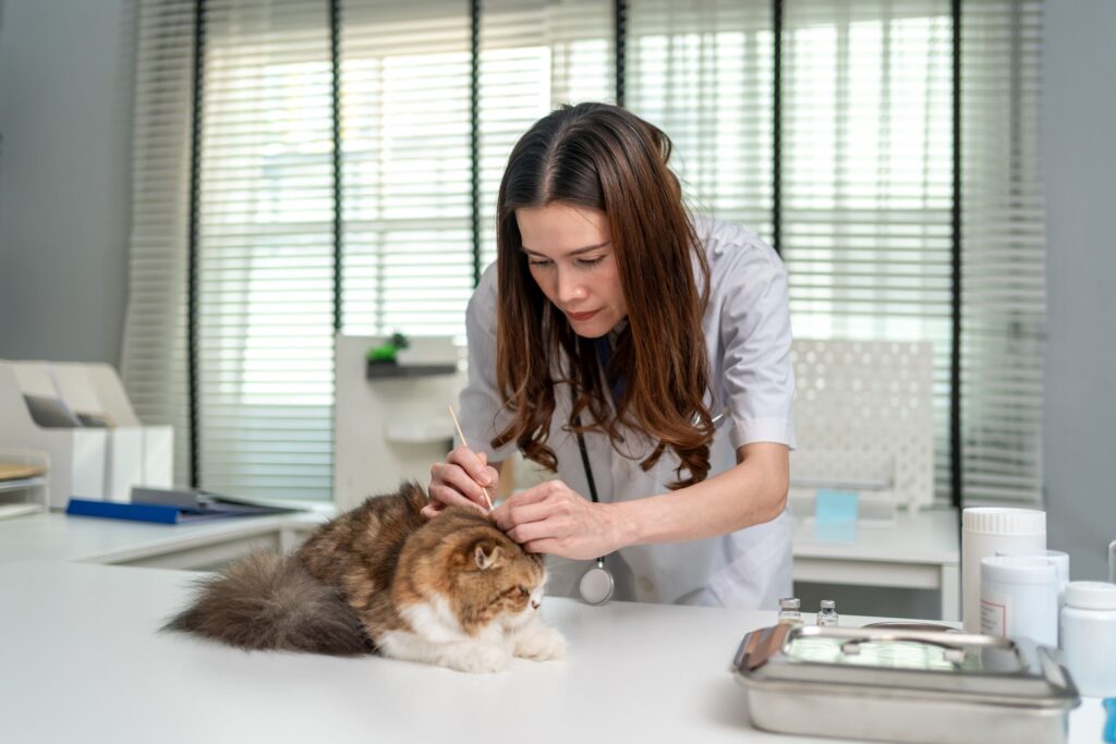 Pet Allergy Testing & Dermatology Care