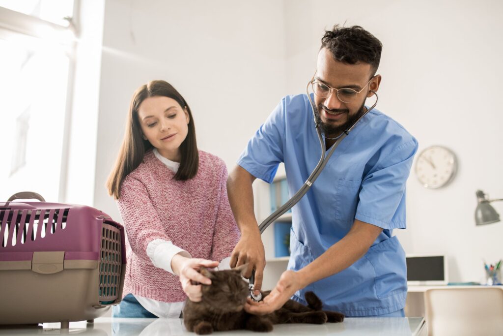 Veterinary Care for Pets