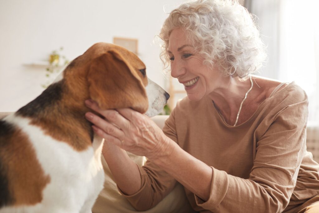 senior pets care